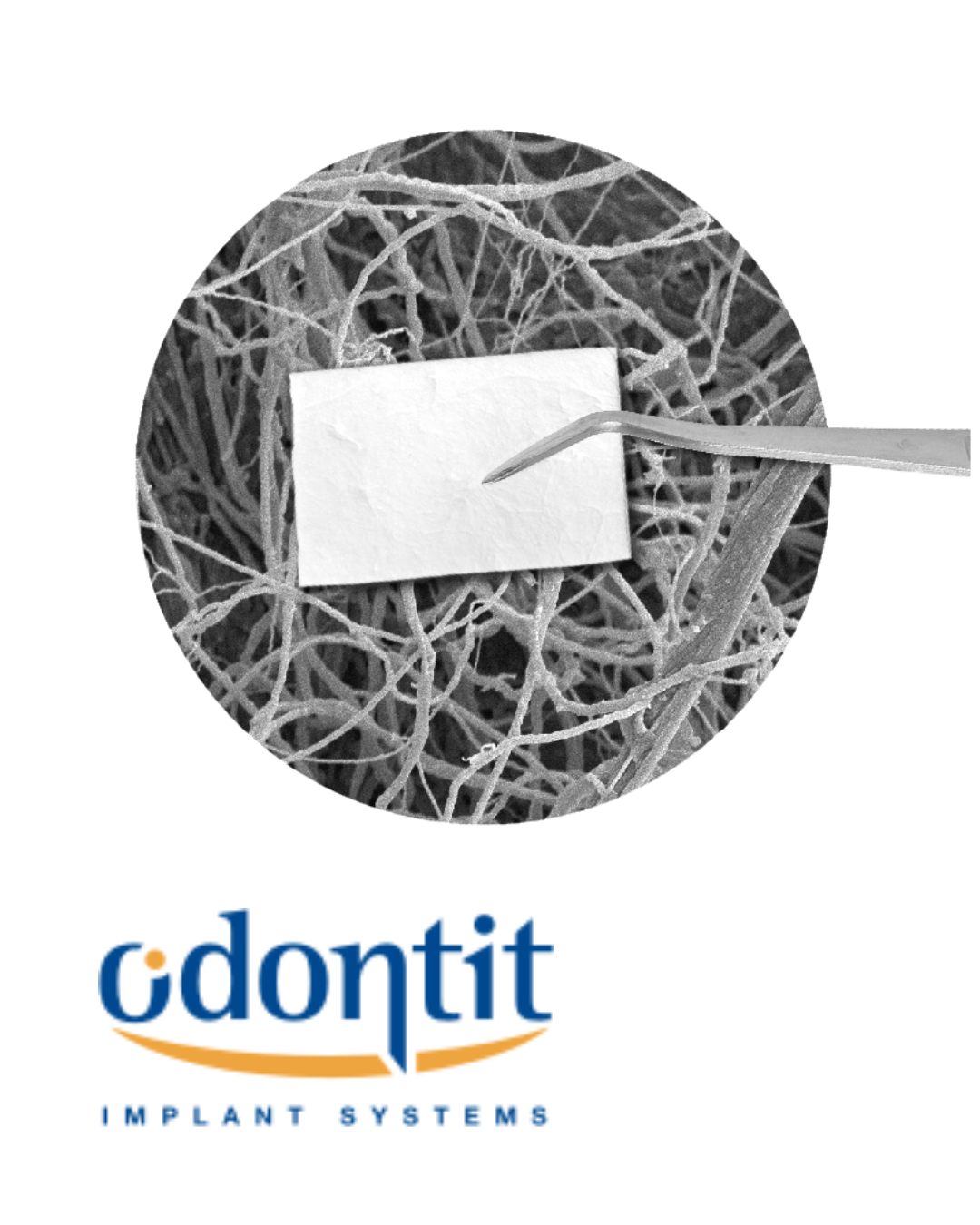 Odontit - Membrana pericardio 